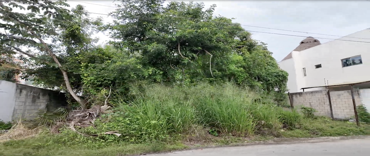 Foto de terreno habitacional en 51 sur 25, el tigrillo, solidaridad, quintana roo, 0 foto 02 Foto de terreno habitacional en venta en 51 sur 25, el tigrillo, solidaridad, quintana roo, 0 No. 02