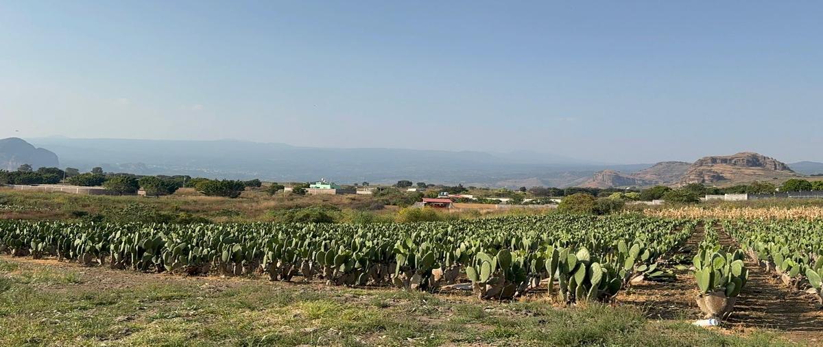 Foto de terreno habitacional en venta en 54 , totolapan, totolapan, morelos, 0 No. 04