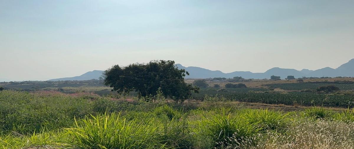 Foto de terreno habitacional en venta en 54 , totolapan, totolapan, morelos, 0 No. 05