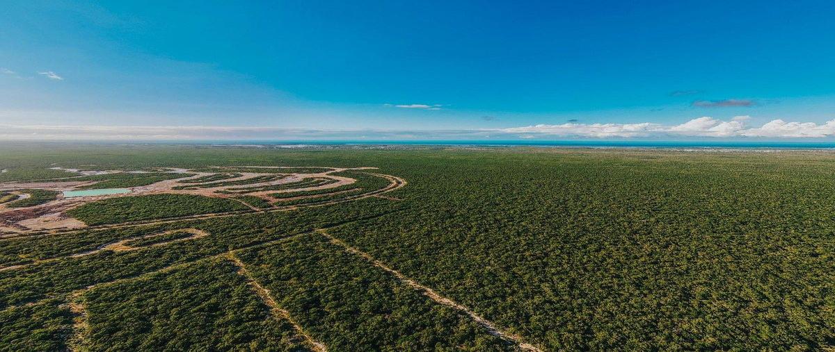 Foto de terreno habitacional en 547x+8r chuburnáyucatán , privada campestre chuburna, mérida, yucatán, 0 foto 01 Foto de terreno habitacional en venta en 547x+8r chuburnáyucatán , privada campestre chuburna, mérida, yucatán, 0 No. 01