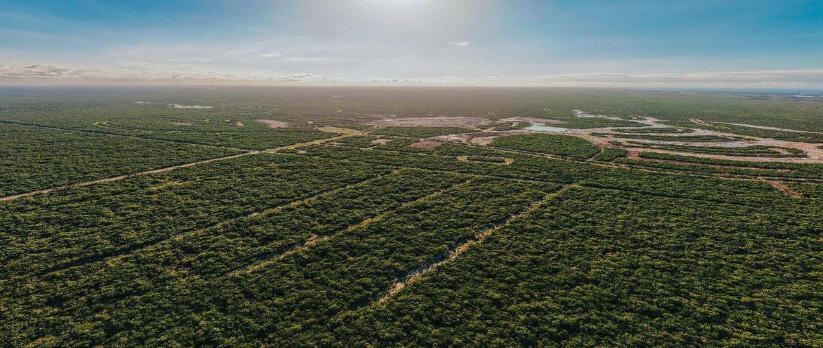 Foto de terreno habitacional en 547x+8r chuburnáyucatán , privada campestre chuburna, mérida, yucatán, 0 foto 02 Foto de terreno habitacional en venta en 547x+8r chuburnáyucatán , privada campestre chuburna, mérida, yucatán, 0 No. 02