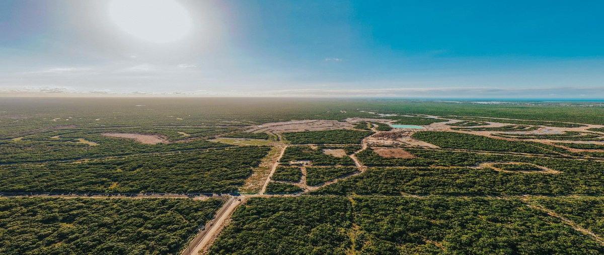 Foto de terreno habitacional en 547x+8r chuburnáyucatán , privada campestre chuburna, mérida, yucatán, 0 foto 03 Foto de terreno habitacional en venta en 547x+8r chuburnáyucatán , privada campestre chuburna, mérida, yucatán, 0 No. 03