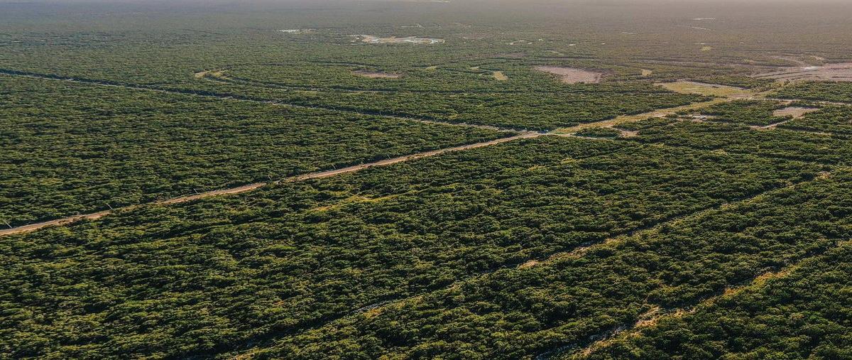 Foto de terreno habitacional en 547x+8r chuburnáyucatán , privada campestre chuburna, mérida, yucatán, 0 foto 05 Foto de terreno habitacional en venta en 547x+8r chuburnáyucatán , privada campestre chuburna, mérida, yucatán, 0 No. 05