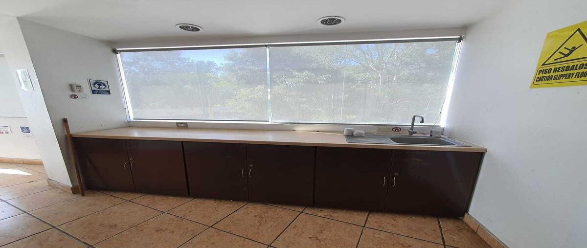 Foto de oficina en renta en 55 , puerto pesquero, carmen, campeche, 28693238 No. 04