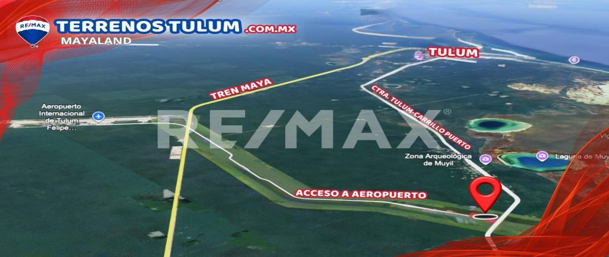 Foto de terreno comercial en 5.5has aeropuerto , tulum centro, tulum, quintana roo, 30343570 foto 03 Foto de terreno comercial en venta en 5.5has aeropuerto , tulum centro, tulum, quintana roo, 30343570 No. 03