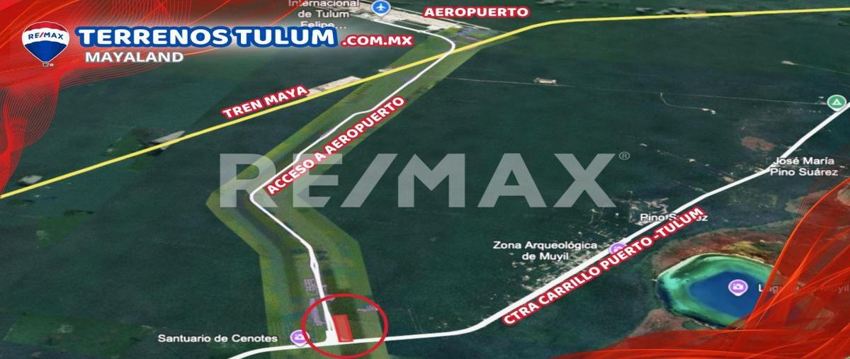 Foto de terreno comercial en 5.5has aeropuerto , tulum centro, tulum, quintana roo, 30343570 foto 04 Foto de terreno comercial en venta en 5.5has aeropuerto , tulum centro, tulum, quintana roo, 30343570 No. 04