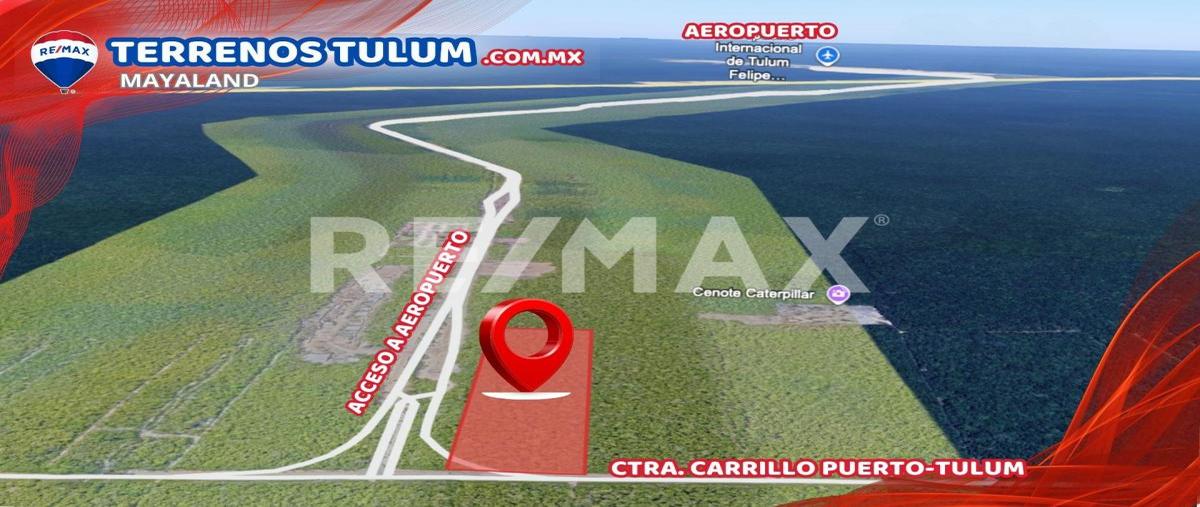 Foto de terreno comercial en 5.5has aeropuerto , tulum centro, tulum, quintana roo, 30343570 foto 05 Foto de terreno comercial en venta en 5.5has aeropuerto , tulum centro, tulum, quintana roo, 30343570 No. 05