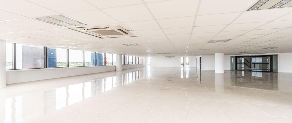 Foto de oficina en renta en 56 , paseo de montejo, mérida, yucatán, 30021453 No. 05