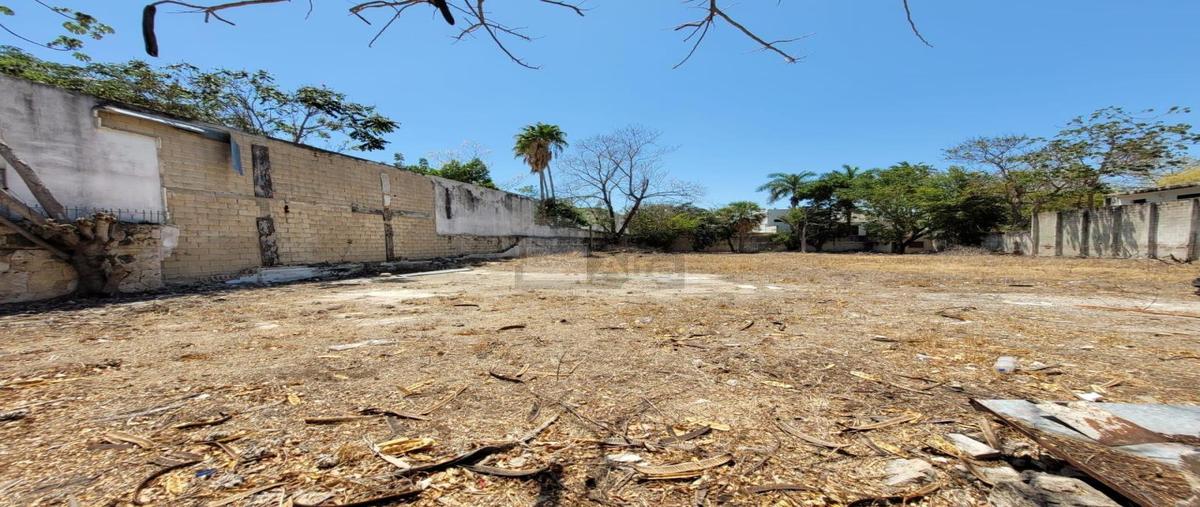 Foto de terreno comercial en 56-b x 31 y 33 453, montejo, mérida, yucatán, 26103451 foto 04 Foto de terreno comercial en venta en 56-b x 31 y 33 453, montejo, mérida, yucatán, 26103451 No. 04