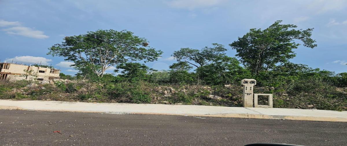 Foto de terreno industrial en 57 280, cholul, mérida, yucatán, 28269231 foto 03 Foto de terreno industrial en venta en 57 280, cholul, mérida, yucatán, 28269231 No. 03
