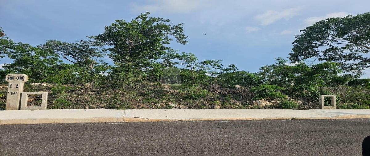 Foto de terreno industrial en 57 280, cholul, mérida, yucatán, 28269231 foto 04 Foto de terreno industrial en venta en 57 280, cholul, mérida, yucatán, 28269231 No. 04
