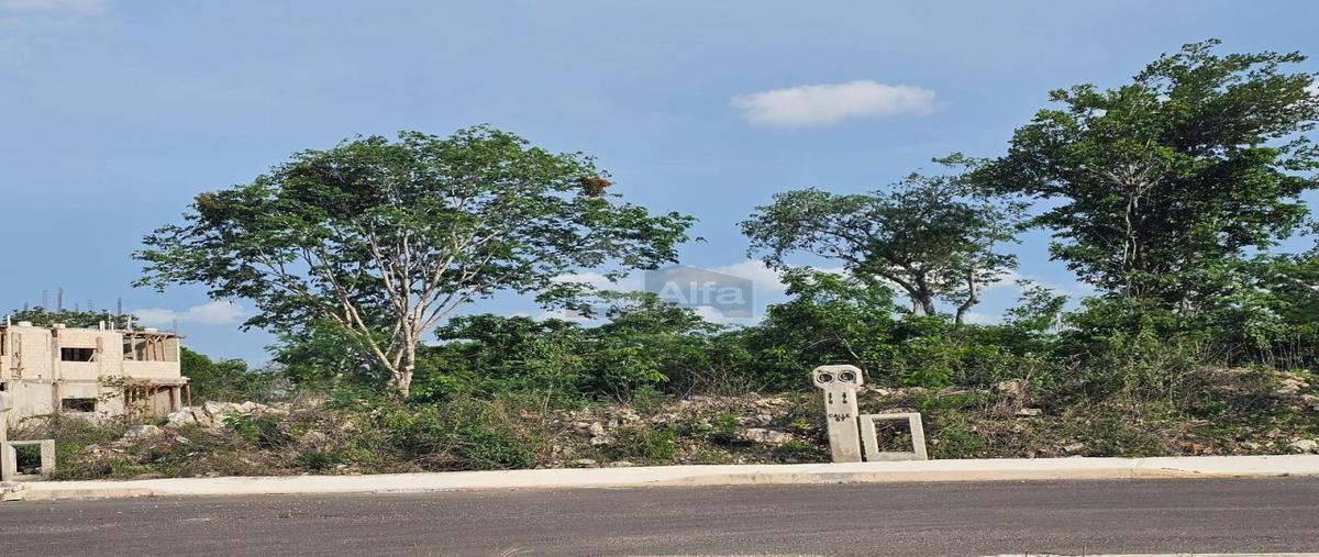Foto de terreno industrial en 57 280, cholul, mérida, yucatán, 28269231 foto 05 Foto de terreno industrial en venta en 57 280, cholul, mérida, yucatán, 28269231 No. 05