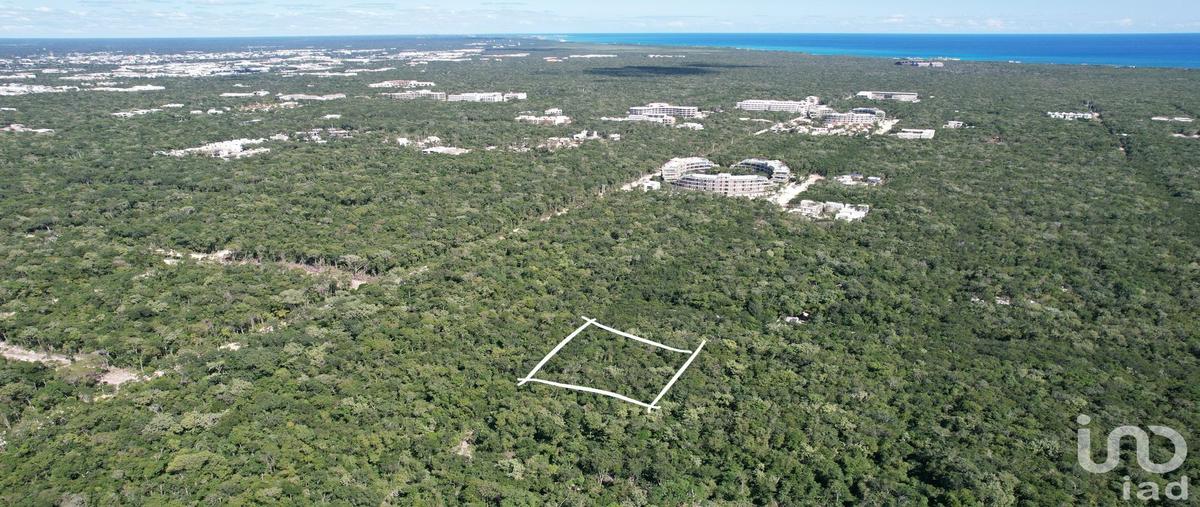 Foto de terreno habitacional en 57 sur región 8. tulum, quintana roo. , la veleta, tulum, quintana roo, 31443888 foto 02 Foto de terreno habitacional en venta en 57 sur región 8. tulum, quintana roo. , la veleta, tulum, quintana roo, 31443888 No. 02