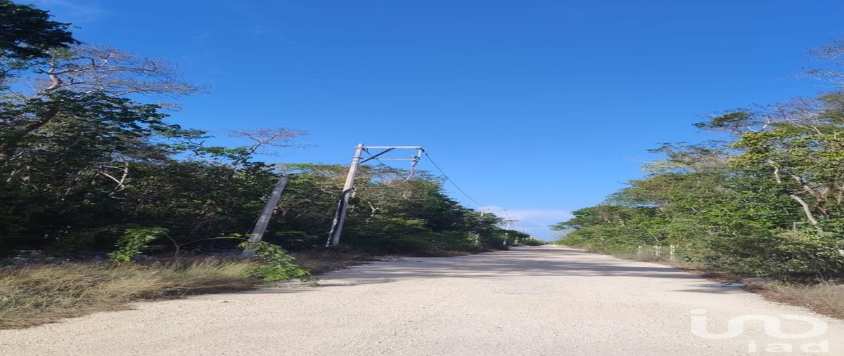 Foto de terreno habitacional en 57 sur región 8. tulum, quintana roo. , la veleta, tulum, quintana roo, 31443888 foto 04 Foto de terreno habitacional en venta en 57 sur región 8. tulum, quintana roo. , la veleta, tulum, quintana roo, 31443888 No. 04