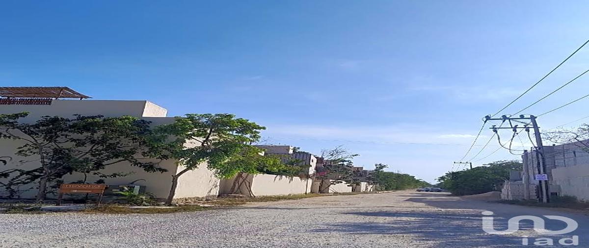 Foto de terreno habitacional en 57 sur región 8. tulum, quintana roo. , la veleta, tulum, quintana roo, 31443888 foto 05 Foto de terreno habitacional en venta en 57 sur región 8. tulum, quintana roo. , la veleta, tulum, quintana roo, 31443888 No. 05