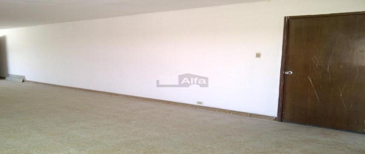 Foto de local en renta en 58 549, merida centro, mérida, yucatán, 25987989 No. 05