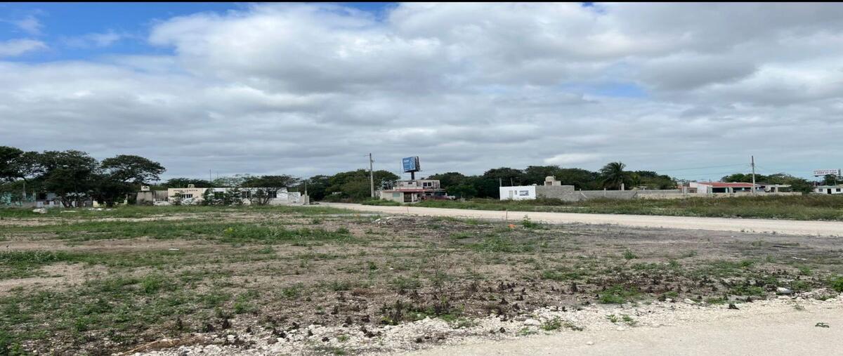 Foto de terreno habitacional en 58wx+38q , san ignacio, progreso, yucatán, 0 foto 01 Foto de terreno habitacional en venta en 58wx+38q , san ignacio, progreso, yucatán, 0 No. 01