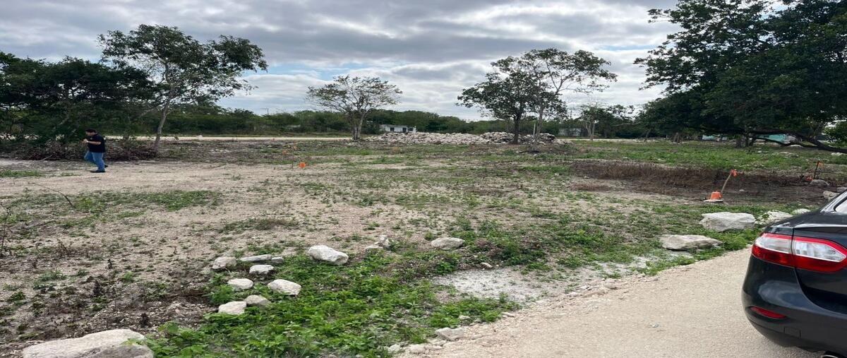 Foto de terreno habitacional en 58wx+38q , san ignacio, progreso, yucatán, 0 foto 02 Foto de terreno habitacional en venta en 58wx+38q , san ignacio, progreso, yucatán, 0 No. 02