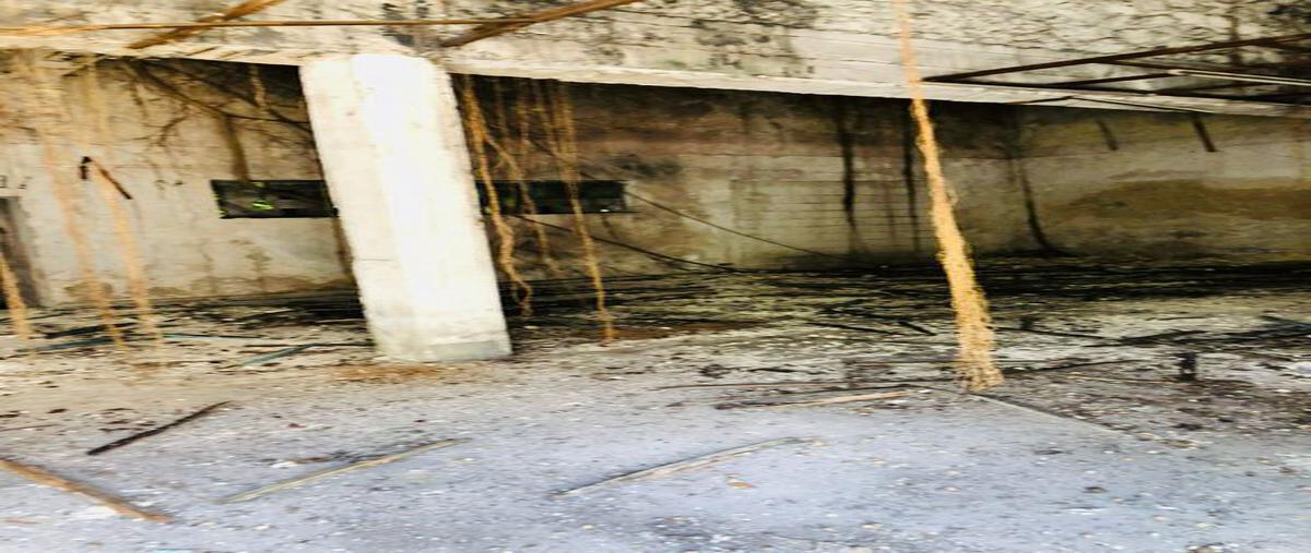 Foto de local en venta en 59 , merida centro, mérida, yucatán, 23517246 No. 05