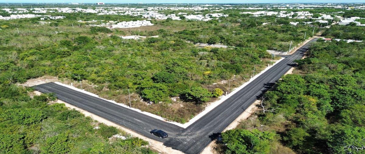 Foto de terreno habitacional en venta en 59 x 92 y 94 , dzitya, mérida, yucatán, 30169660 No. 03