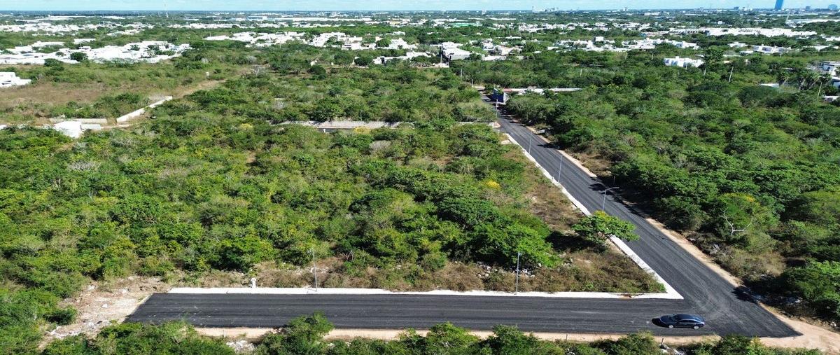 Foto de terreno habitacional en venta en 59 x 92 y 94 , dzitya, mérida, yucatán, 30169660 No. 04