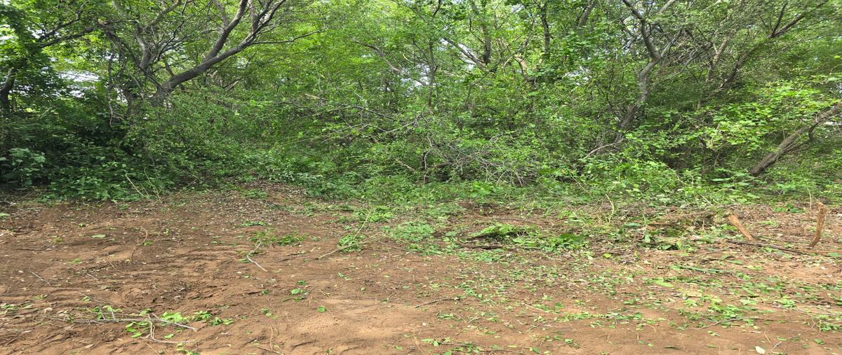 Foto de terreno comercial en venta en 5a privada de paulina , 8va. sección, heroica ciudad de juchitán de zaragoza, oaxaca, 0 No. 05