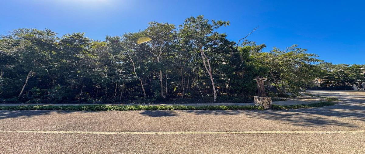 Foto de terreno habitacional en venta en 5gwv+jh , aldea zama, tulum, quintana roo, 0 No. 03