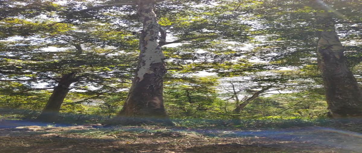 Foto de terreno habitacional en venta en  , 6 de julio, coatepec, veracruz de ignacio de la llave, 0 No. 04