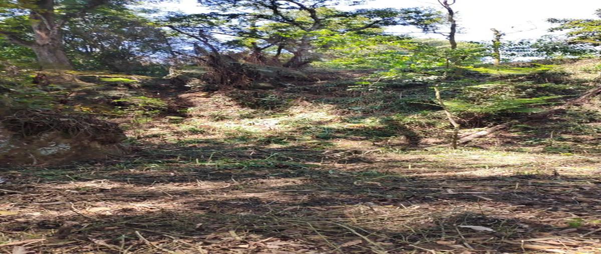Foto de terreno habitacional en venta en  , 6 de julio, coatepec, veracruz de ignacio de la llave, 0 No. 05