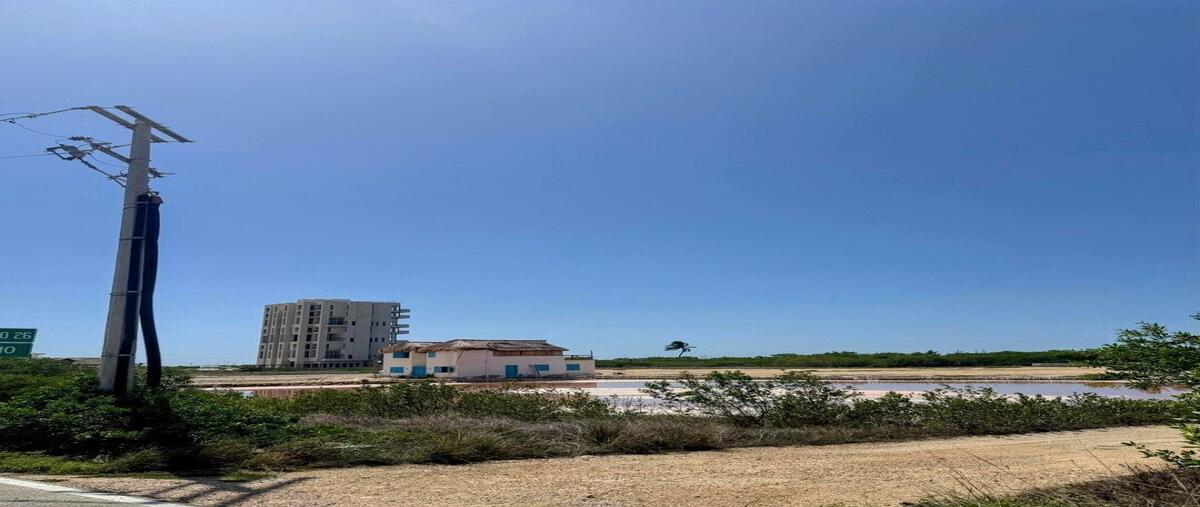 Foto de terreno habitacional en venta en 6 , santa clara, dzidzantún, yucatán, 30204626 No. 03