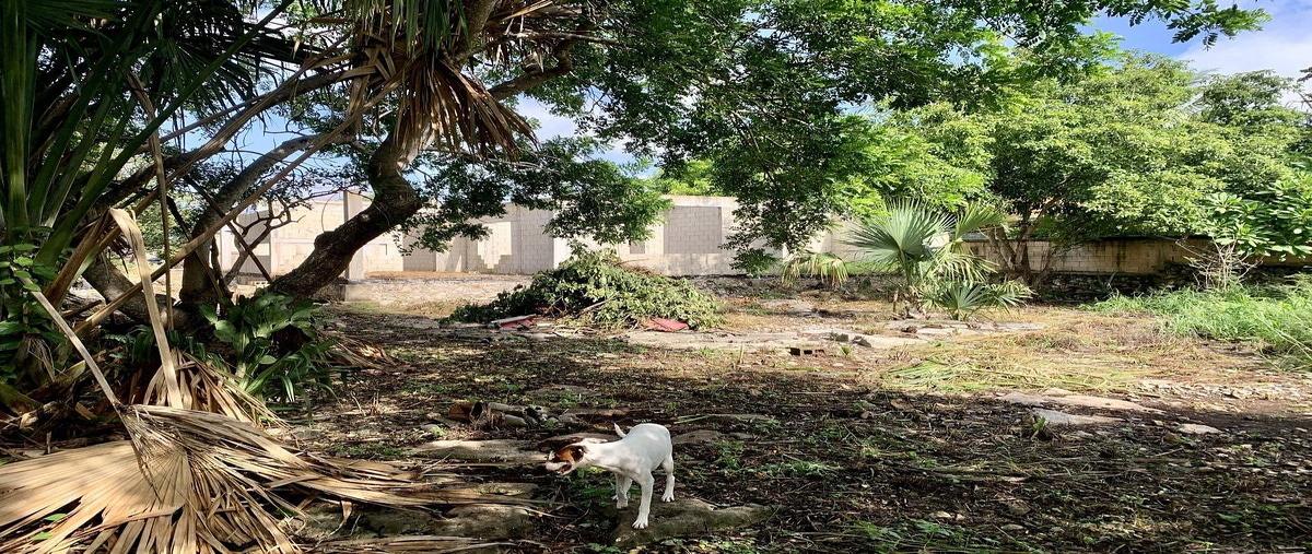 Foto de terreno habitacional en venta en 6 , sitpach, mérida, yucatán, 0 No. 07