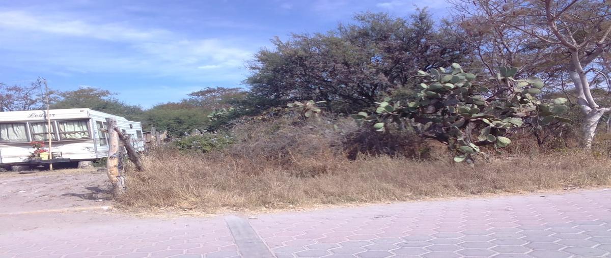Foto de terreno habitacional en 6 sur , xochitlan, xochitlán todos santos, puebla, 26504693 foto 02 Foto de terreno habitacional en venta en 6 sur , xochitlan, xochitlán todos santos, puebla, 26504693 No. 02