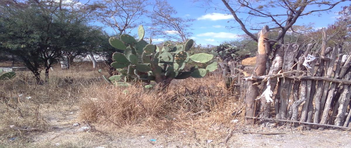 Foto de terreno habitacional en 6 sur , xochitlan, xochitlán todos santos, puebla, 26504693 foto 03 Foto de terreno habitacional en venta en 6 sur , xochitlan, xochitlán todos santos, puebla, 26504693 No. 03