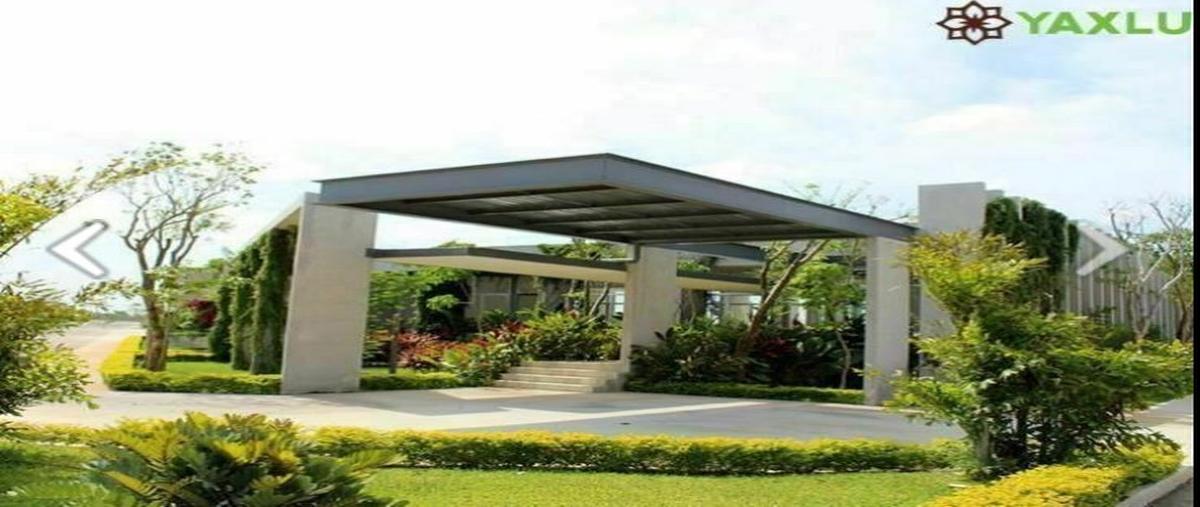 Foto de terreno habitacional en venta en 6 , yaxkukul, yaxkukul, yucatán, 0 No. 05