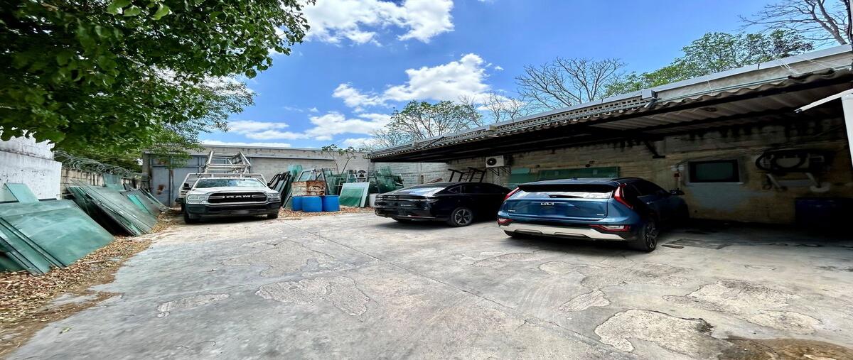 Foto de bodega en 60 , chuburna de hidalgo, mérida, yucatán, 29793535 foto 03 Foto de bodega en venta en 60 , chuburna de hidalgo, mérida, yucatán, 29793535 No. 03