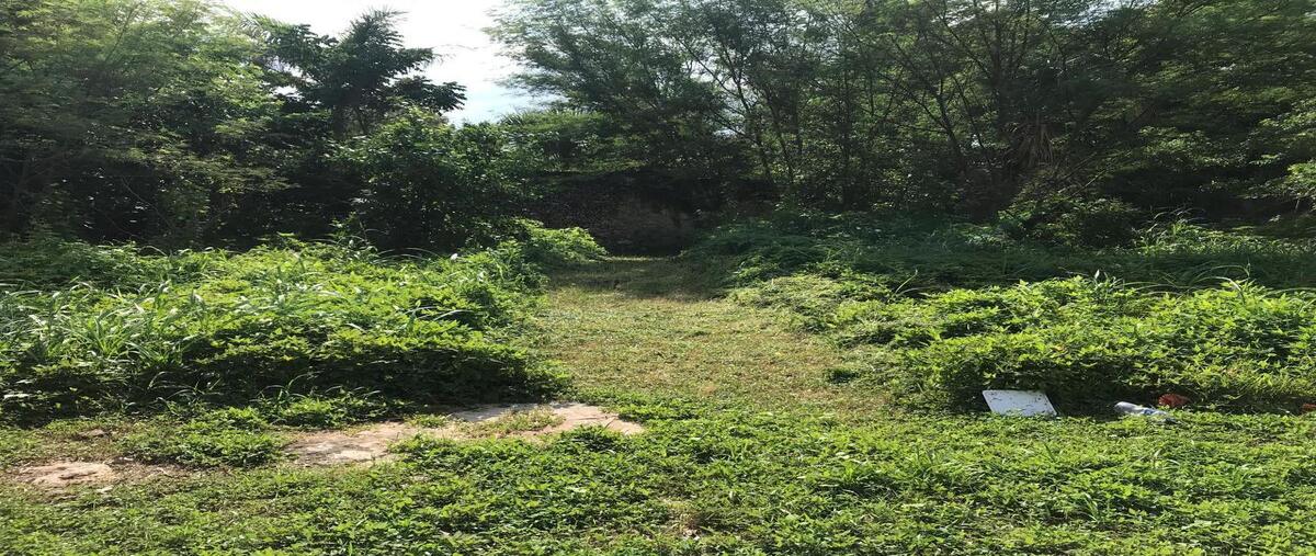 Foto de terreno habitacional en venta en 60 , garcia gineres, mérida, yucatán, 29714722 No. 05