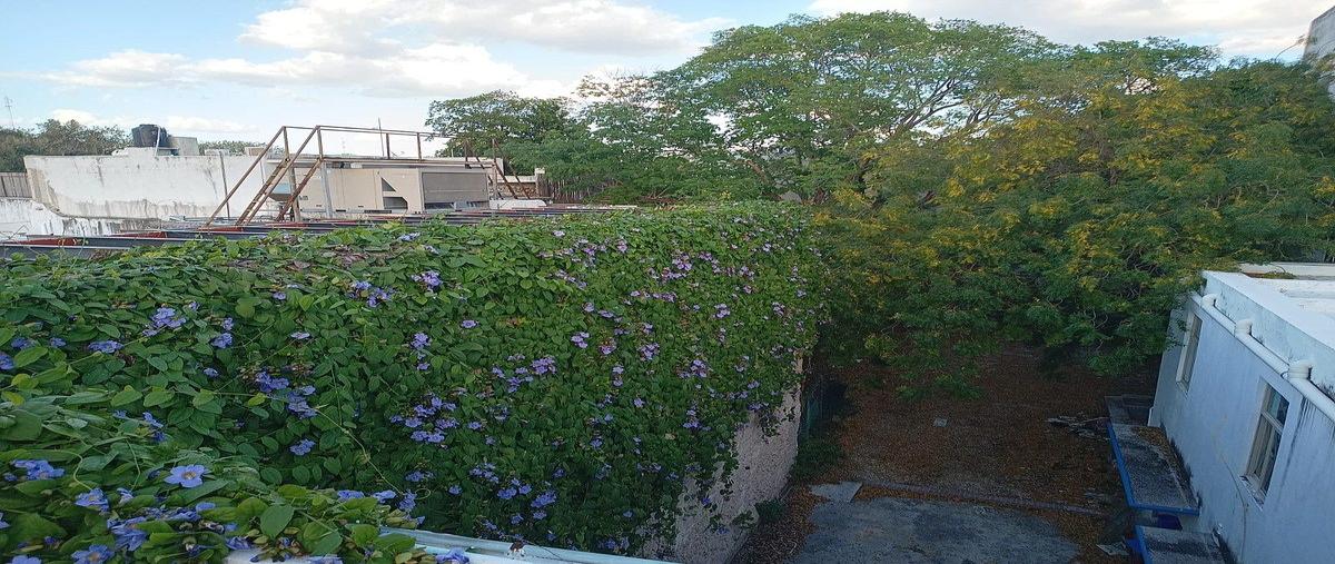Foto de local en renta en 60 , merida centro, mérida, yucatán, 0 No. 03