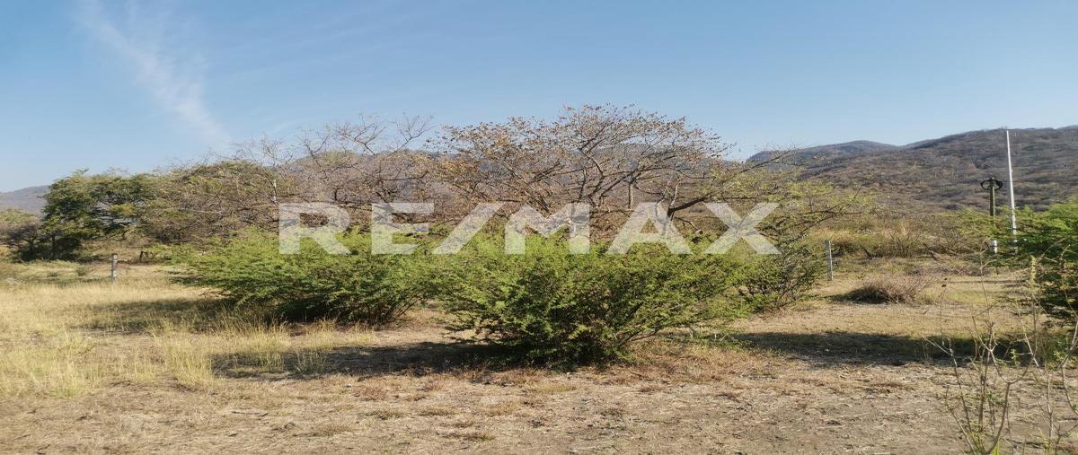 Foto de terreno habitacional en venta en 62545 morelos , tlayacapan centro, tlayacapan, morelos, 0 No. 05