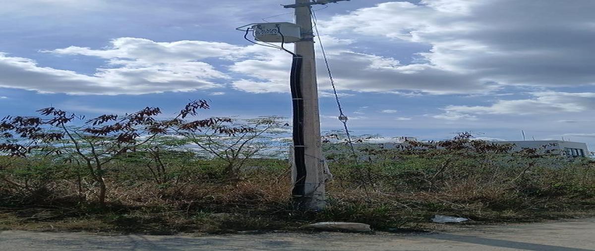 Foto de terreno habitacional en venta en 63 a , dzitya, mérida, yucatán, 0 No. 04