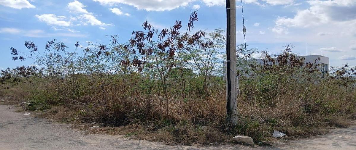 Foto de terreno habitacional en venta en 63 a , dzitya, mérida, yucatán, 0 No. 05