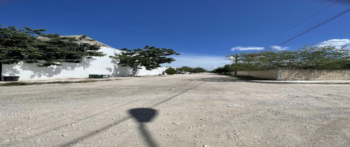 Foto de terreno habitacional en venta en 63 calle , dzitya, mérida, yucatán, 0 No. 05