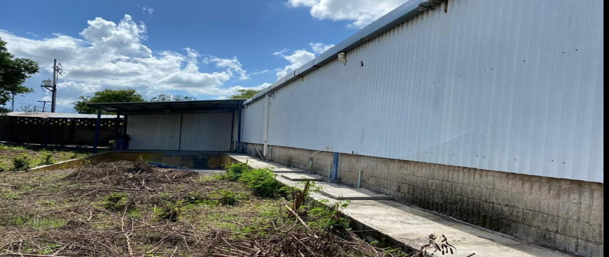 Foto de nave industrial en venta en 63 , francisco i madero, mérida, yucatán, 27296245 No. 05