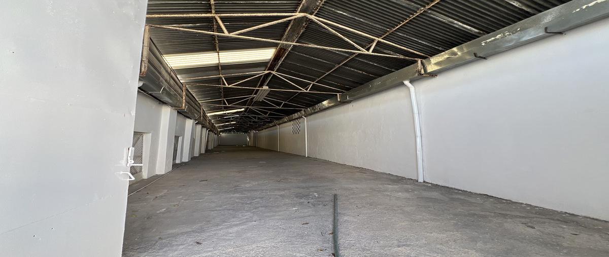 Foto de bodega en renta en 63 , merida centro, mérida, yucatán, 30984564 No. 05