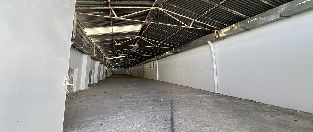 Foto de bodega en renta en 63 , merida centro, mérida, yucatán, 0 No. 03