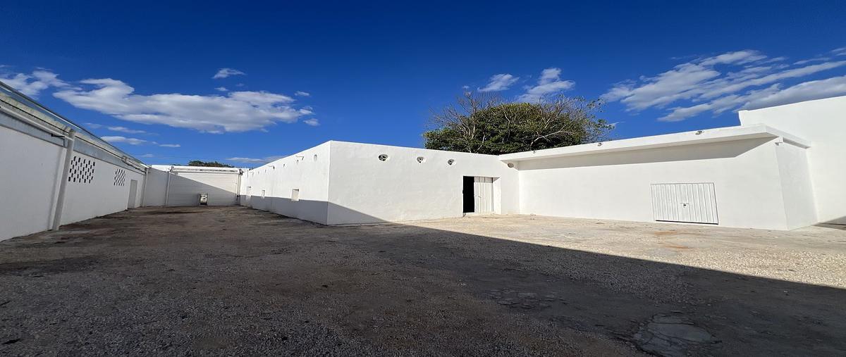Foto de bodega en renta en 63 , merida centro, mérida, yucatán, 0 No. 04