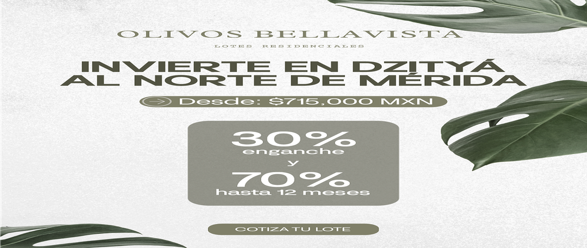 Foto de terreno habitacional en venta en 63b , dzitya, mérida, yucatán, 30988693 No. 03