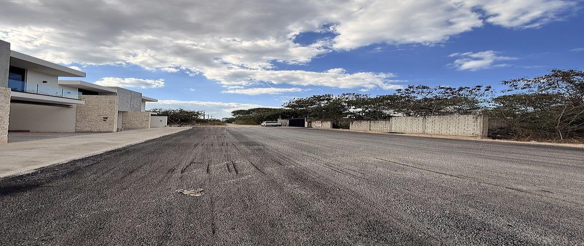 Foto de terreno habitacional en venta en 63c , dzitya, mérida, yucatán, 0 No. 04