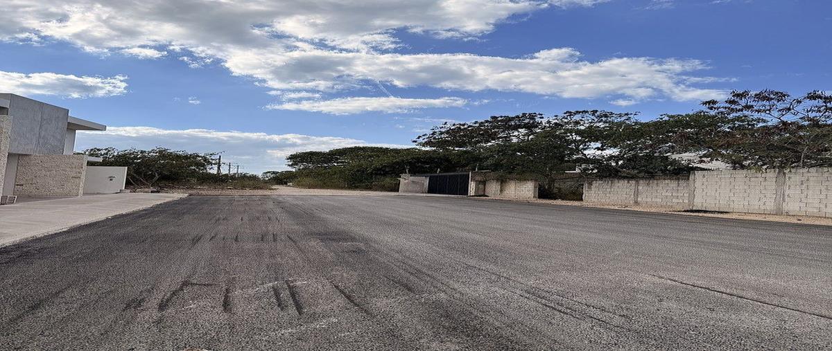 Foto de terreno habitacional en venta en 63c , dzitya, mérida, yucatán, 0 No. 05