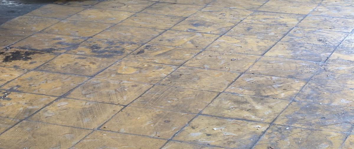 Foto de edificio en venta en 66 , merida centro, mérida, yucatán, 26712991 No. 04