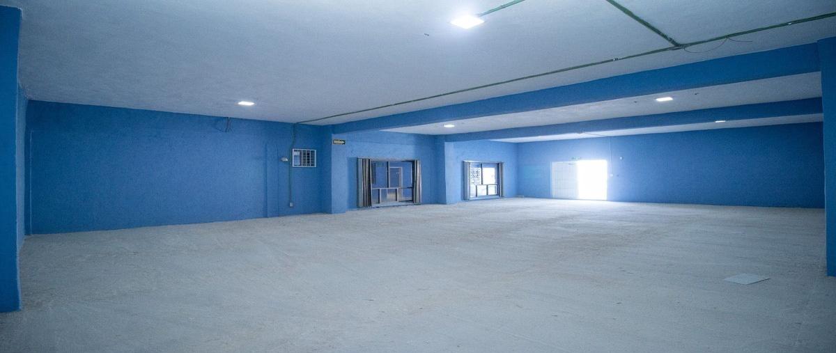 Foto de bodega en 66 norte , playa del carmen, solidaridad, quintana roo, 28787325 foto 04 Foto de bodega en renta en 66 norte , playa del carmen, solidaridad, quintana roo, 28787325 No. 04